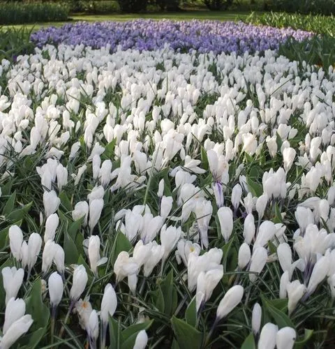 Joan of Arc Church modern Rouen Place du Vieux-Marché Normandy